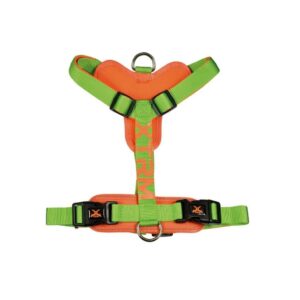 NAYECO - Arnés X-TRM Cronos Neón Flash para Perro (Verde)