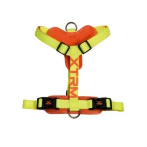 NAYECO - Arnés X-TRM Cronos Neón Flash para Perro (Amarillo)