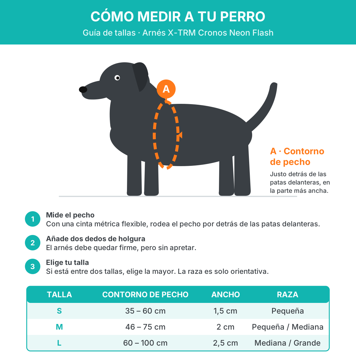 guia-medir-arnes-nayeco-xtrm