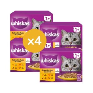 WHISKAS - Selección de Aves de Corral en Gelatina (48x85 gr) - Comida Húmeda para Gatos Adultos (+1) en Multipack (4 Cajas de 12 Unidades)