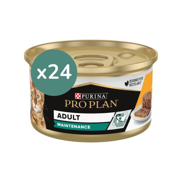 PRO PLAN - Adult Maintenance (24x85 gr) - Comida Húmeda para Gatos Adultos (Pollo)