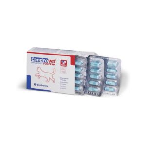 BIOIBERICA Condrovet Force HA Gatos (45 Cápsulas) - Suplemento Articular Específico para Gatos con Glucosamina, Condroitín Sulfato CSBioactive, Ácido Hialurónico Mobilee y Colágeno Tipo II Collavant n2