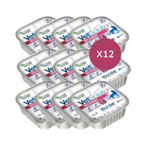 MONGE - VetSolution - Recovery (12x100 gr) - Paté para gato delicioso indicado para para una rápida Recuperación