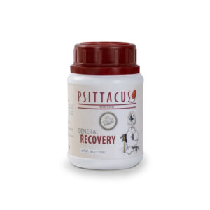 PSITTACUS - General Recovery - Papilla de soporte en Aves Enfermas o Heridas en Proceso de Recuperación