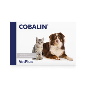 VETPLUS - Cobalin (60 Cápsulas) - Suplemento para mantener los niveles de folato y cobalamina en Perros y Gatos