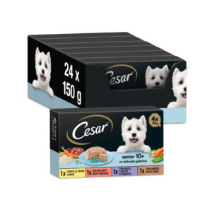 CESAR - Senior 10+ en Delicada Gelatina (24x150 gr) - Comida Húmeda Completa para Perros en Paté y Gelatina (Pollo, Buey, Cordero y Pavo) Multipack (6x4x150 gr)