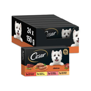 CESAR - Selección de Clásicos (24x150 gr) - Comida Húmeda Completa para Perros en Salsa (Buey y Hígado, Pollo y Pavo, Ternera y Aves, Pollo y Buey) Multipack (6x4x150 gr)