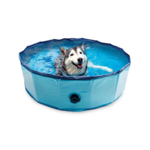 ARQUIVET - Piscina para Perros (80x20 cm)