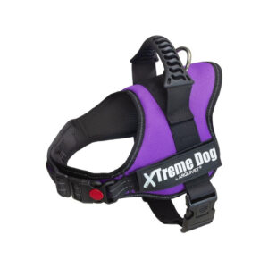 ARQUIVET - Xtreme Dog - Arnés para Perros en color Lila (6 Tallas)