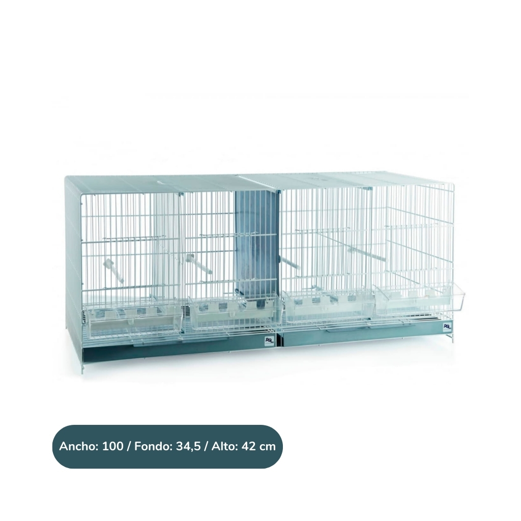 3404ZN-8429972106770 (2)