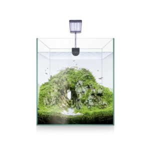 ICA - Kit Nano Aquascape RGB 20 (20 Litros) - Kit Completo para Acuarios Plantados