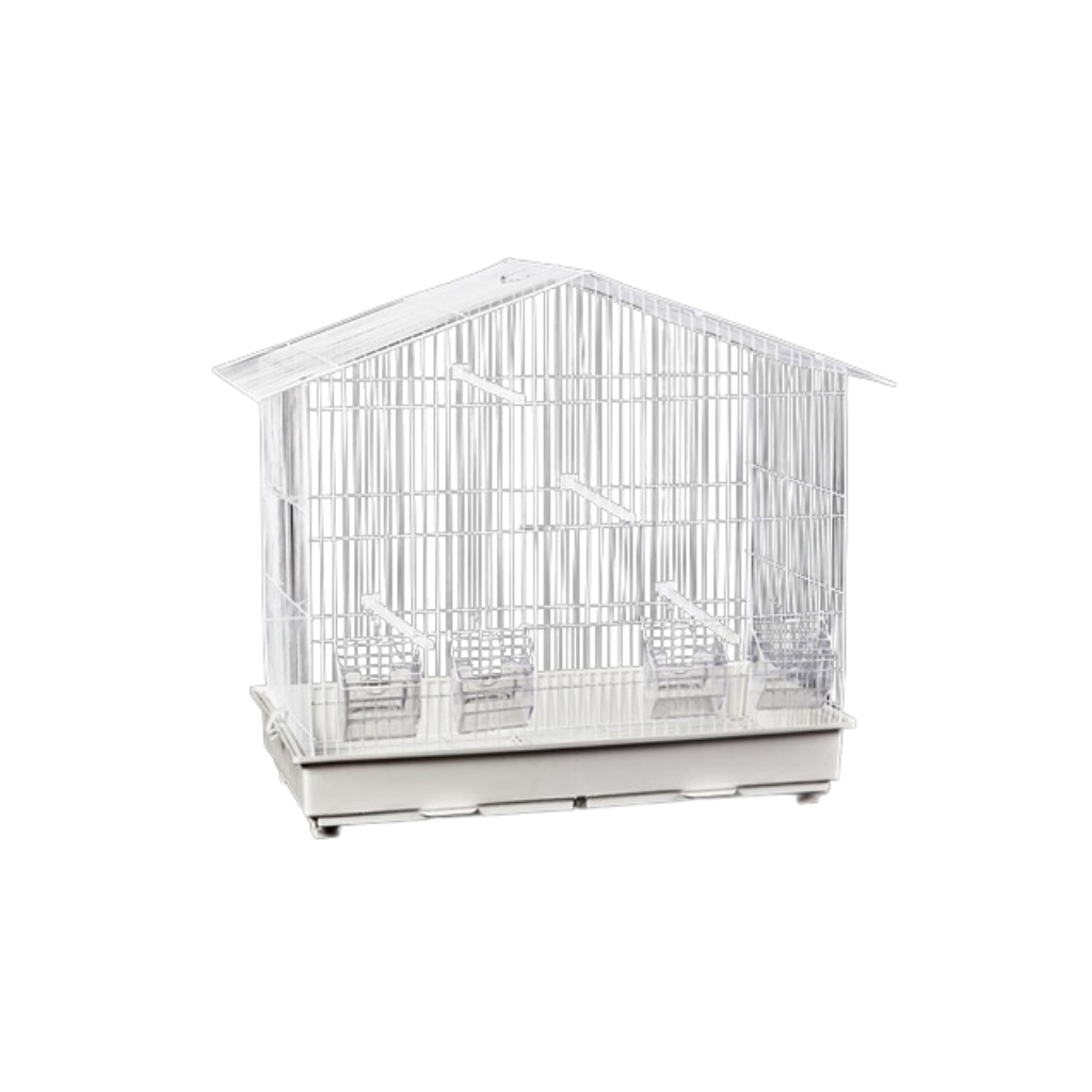 F026MC-5606065010425