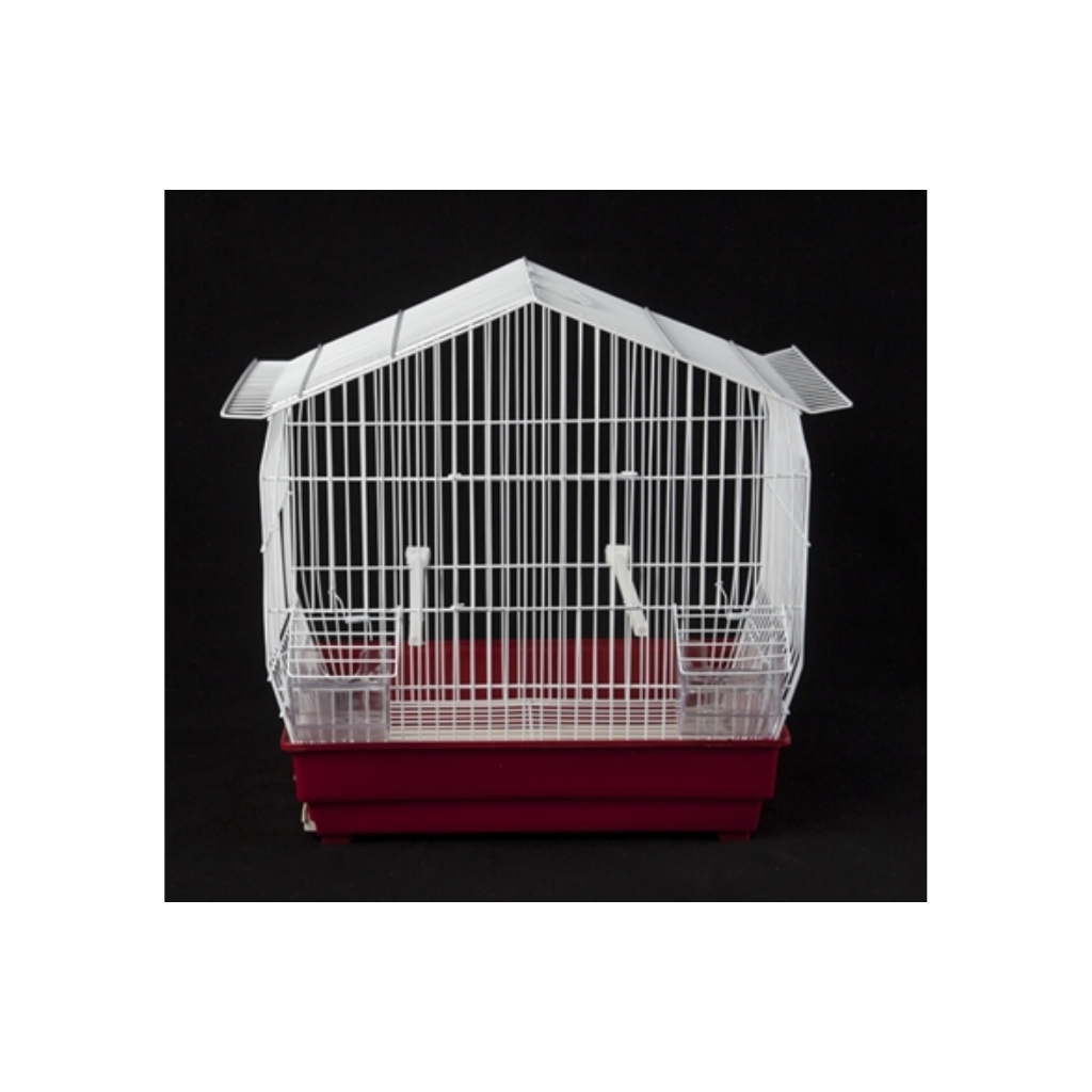 F081-5606065008316 (2)