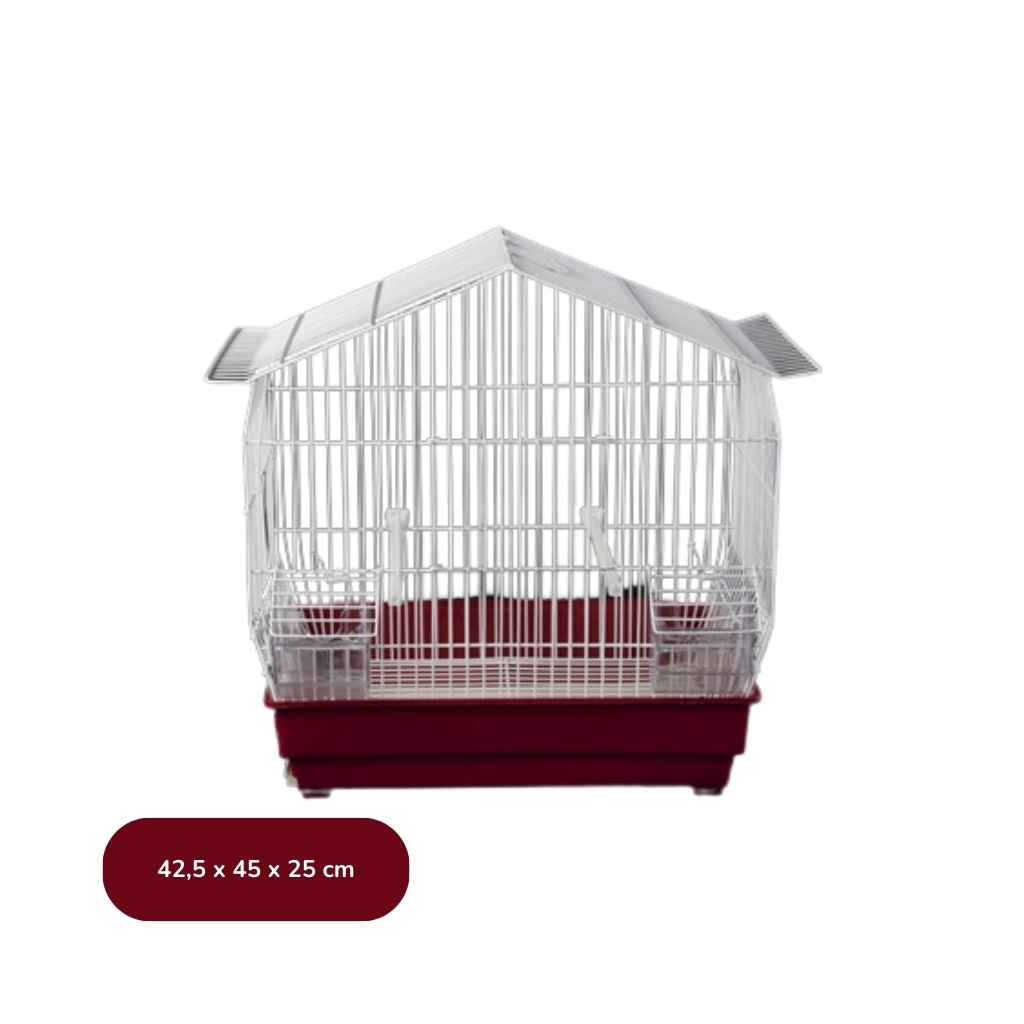 F081-5606065008316 (3)