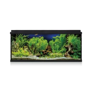 ICA - Aqualed 100 Negro (100 Litros) - Kit Completo Acuario para Agua Dulce (Color Negro)