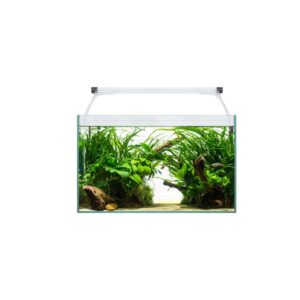 ICA - Aqua Light Glass 40 (21 Litros) - Kit Completo Acuario de Agua Dulce con Filtro Interior