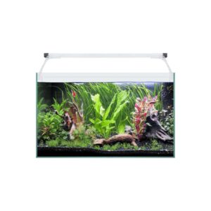 ICA - Aqua Light Glass 50 (41 Litros) - Kit Completo Acuario de Agua Dulce con Filtro Interior