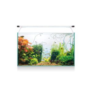ICA - Aqua Light Glass 60 (52 Litros) - Kit Completo Acuario de Agua Dulce con Filtro Interior
