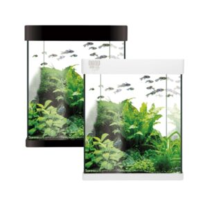 ICA - Kit Nano Aqualed 10 (10 Litros) - Kit Completo con Acuario de Cristal para Agua Dulce