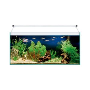 ICA - Aqua Light Glass 80 (76 Litros) - Kit Completo Acuario de Agua Dulce con Filtro Interior
