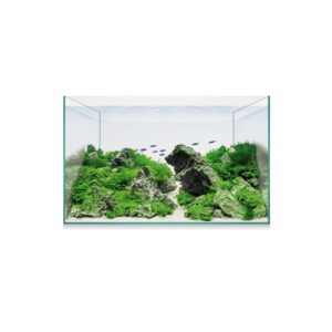 ICA - Aquascape Basic 14 - Urna de Cristal de 12,7 Litros