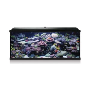 ICA - Aqua Led Pro Hydra 240 (240 Litros) - Kit Acuario para Agua Salada (Negro)