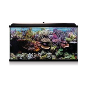 ICA - Aqua Led Pro Hydra 300 (300 Litros) - Kit Acuario para Agua Salada (Negro)