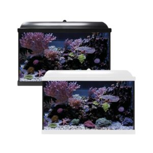 ICA - Aqua Led Pro Hydra 68 (68 Litros) - Kit Acuario para Agua Salada (Blanco o Negro)