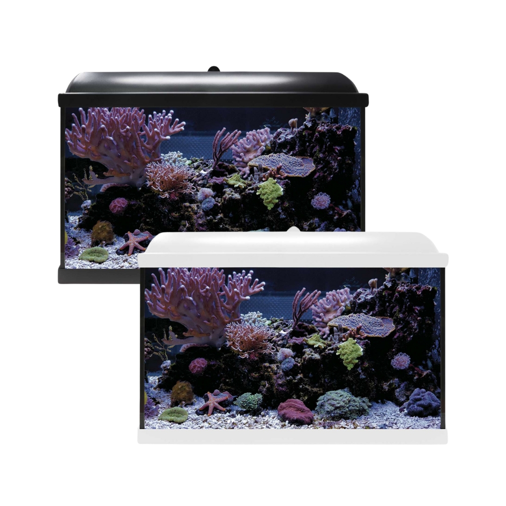 KHS68B-8434744019936