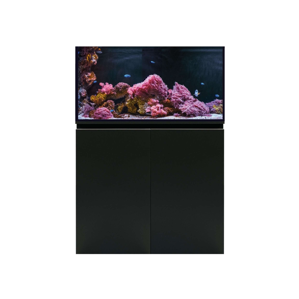 KU10050-8434744027672