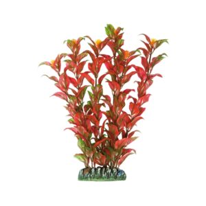 ICA - Aquatic Plants (22 cm) - Planta de Plástico Alternanthera