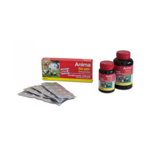 STANGEST - Anima Strath Comprimidos - Alimento Complementario 100% Natural Fortificante y Reconstituyente