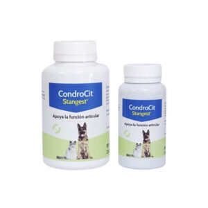 STANGEST - Condrocit - Alimento Complementario Condroprotector para la Salud Articular en Perros y Gatos