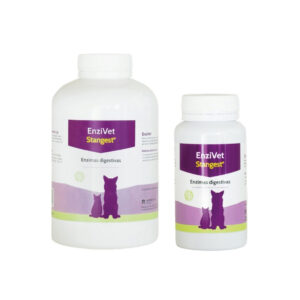 STANGEST - Gradual Action Enzivet - Alimento Complementario de Enzimas Digestivas para Perros y Gatos