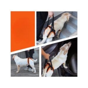 FUBAO - Cinturón/Arnés para Patas Traseras