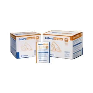 BIOIBERICA - Entero Chronic - Alimento complementario en Sobres para Mantener la Función Intestinal en Perros y Gatos