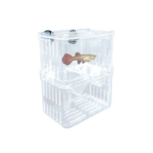 ICA - Paridera/Enfermería (10 cm cm) Plástica Flotante con Separador