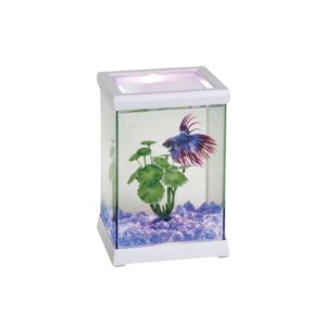 ICA - Betta Space Led (4,95 Litros) color Blanco