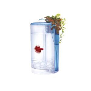 ICA - Kit Betta Flora LED (2 Litros) color Azul