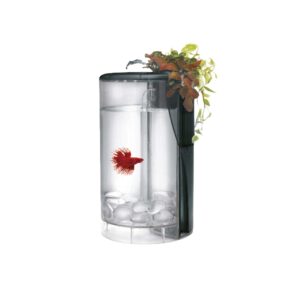 ICA - Kit Betta Flora LED (2 Litros) color Negro