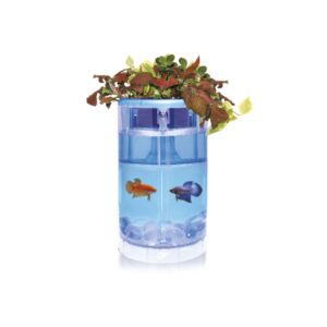 ICA - Kit Betta Flora LED (2 Litros) color Celeste