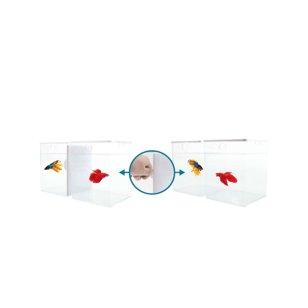 BT151-2081290701516 (2)