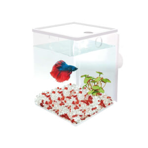 ICA - Betaworld Cube (1,5 Litros) - Kit de Ampliación BT152 de Betera BT151