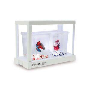 ICA - Betaworld (0,75 Litros) - Kit de Ampliación BT22 de Betera BT21