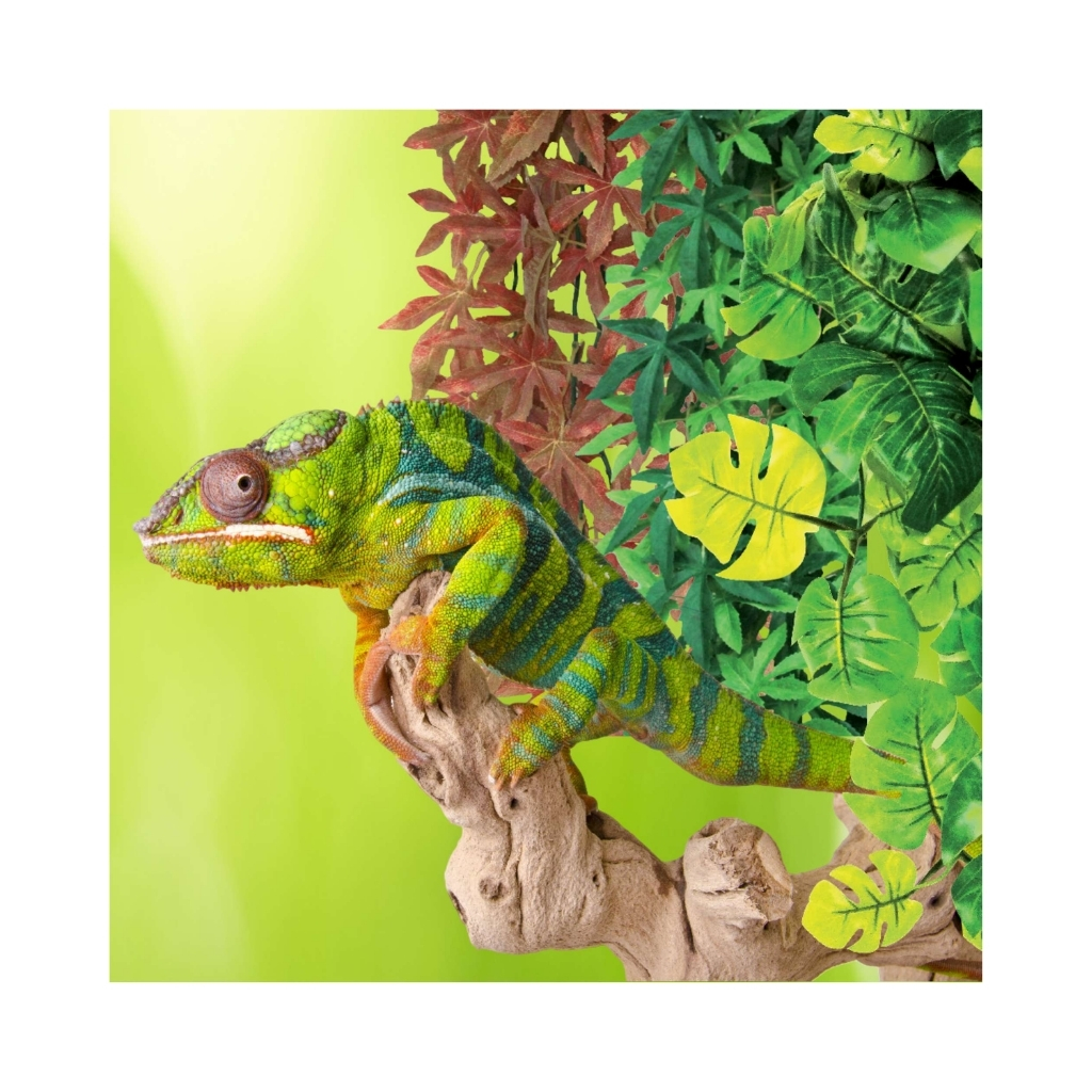 KF424-8434744004666 (2)