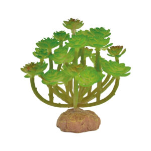 ICA - ReptiSelva (9 cm) - Ornamento de Cactus Verol para Terrarios