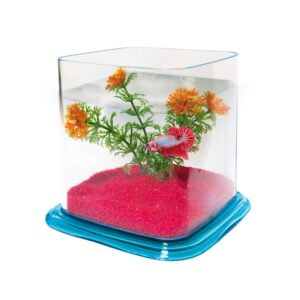 ICA - Bettera (1,9 Litros) Betta Paradise color de base Celeste