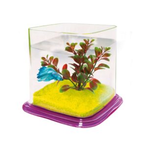 ICA - Bettera (1,9 Litros) Betta Paradise color de base Rosa