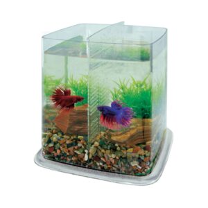 ICA - Bettera (6,4 Litros) Betta Battle Paradise color Transparente