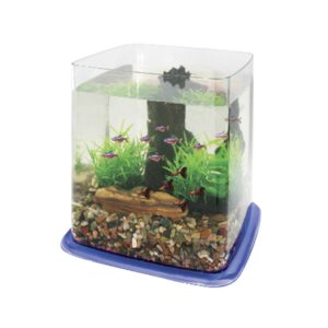 ICA - Bettera (6,4 Litros) Betta Battle Paradise color de base Azul